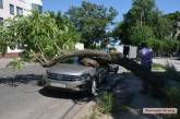 В центре Николаева упавшее дерево придавило «Фольксваген»