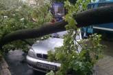 Буря с градом в Одессе: повалены деревья, затоплены улицы. ФОТО. ВИДЕО 