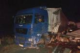 Ночью на Николаевщине столкнулись два грузовика: пострадавшего водителя из авто извлекали спасатели