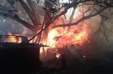 На Николаевщине масштабный пожар с сухостоя перекинулся на жилые дома: есть пострадавшие
