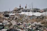 Львовский мусор в Николаев будут возить «замаскированным», в автомобилях-зерновозах 