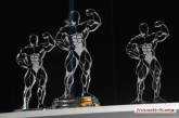 В Николаеве проходит Чемпионат Украины по бодибилдингу и фитнесу. ФОТО