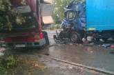 В Вознесенске столкнулись лоб в лоб две фуры: водитель одной погиб