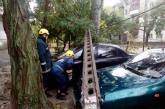  В Николаеве сильный ветер валил на автомобили деревья и столбы. ФОТО