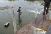 Утопленный зерновозами мост в Снигиревском районе начали восстанавливать