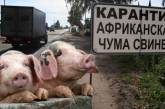 Новые очаги африканской чумы свиней выявлены на Николаевщине