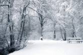 Через пару недель в Украине повалит снег