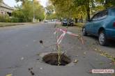 В центре Николаева неизвестные украли канализационные крышки