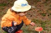 На Николаевщине двое маленьких детей отравились грибами
