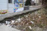 Депутат горсовета возмутилась клумбой усеянной мусором в центре города