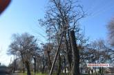 «Махновщина»: в Николаеве «металлисты» спили деревянную электроопору, обесточив 180 домов