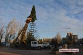 На главной площади Николаева устанавливают городскую елку 