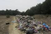 "Путешествия львовского мусора": фуры прогнали с Тернопольщины