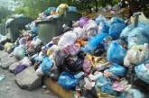Во Львове из-за мусора могут закрыть школы и десткие сады