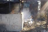 На Николаевщине из-за неосторожного обращения с огнем горела хозпостройка