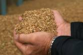 В опытном хозяйстве «Агрономия» украли 9 тонн семенного ячменя