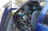В автоавариях на Николаевщине травмированы четыре человека 