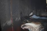 В Николаеве горела квартира в многоэтажке: пожарные спасли мужчину