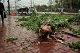 На Москву обрушился ураган: погибли 11 человек. ФОТО, ВИДЕО