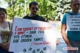 Николаевские зоозащитники вышли на пикет, чтобы поддержать законопроект об ужесточении наказания за живодерство