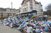 Мэр Львова Садовой вновь просит Николаев принять львовский мусор
