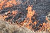 На Николаевщине горела свалка: огонь перекинулся на постройки (ВИДЕО) 