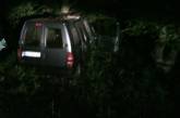 На Николаевщине «Пежо» съехал и кювет и врезался в дерево: 1 человек погиб, один травмирован