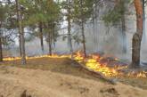 В Херсонской области лесной пожар на площади 10 га тушат при помощи вертолетов и самолетов