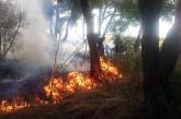 В Николаеве участились случаи пожаров на открытых территориях