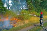 На Николаевщине за сутки площадь пожаров в природных экосистемах составила более 72 га