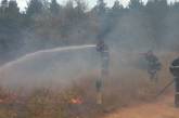 На Николаевщине горит лес