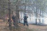 Под Новой Одессой не утихает пожар: горит 100 гектаров леса