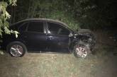 На трассе «Ульяновка-Николаев» столкнулись два автомобиля - один человек погиб