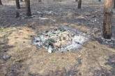 Полицейские задержали николаевцев, из-за которых выгорело около 80 га леса