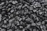 Первая поставка американского угля в Украину будет меньше, чем планировалось
