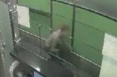 Мужчина попытался обойти контроль в Борисполе на корточках. Видео