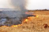 На Николаевщине горели сухая трава и ульи: пострадал мужчина