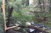 В Москве ураган повалил более 150 деревьев, травмированы девять человек