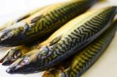 Количество пострадавших от отравления рыбой во Львове превысило 50 человек