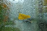 Дожди, грозы и ветер: погода в выходные в Николаеве