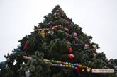 Горсовет Николаева купил у одесских предпринимателей новогоднюю елку почти за 3 млн