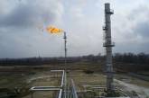 У Ахметова, Новинского и Бойко могут забрать газовые лицензии