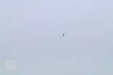 Появилось видео первого полета украинского беспилотника "Горлица"