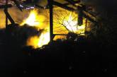 На Николаевщине пожар уничтожил 10 т соломы