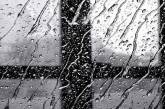 Дожди с мокрым снегом и ветер: погода в Николаеве на завтра