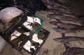 На Николаевщине поймали рыбаков-браконьеров, незаконно выловивших рыбы и крабов на 20 миллионов