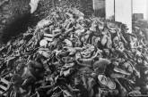 96-летнего "бухлалтера Освенцима" признали годным к тюрьме