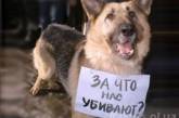 Нелюди расстреляли в Херсоне более сотни собак