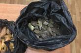 В аэропорту "Борисполь" задержали турка, который в багаже пытался вывезти 20 кило янтаря