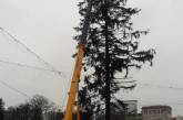 Украинская елка стала посмешищем в центре Кишинева: молдоване требуют вернуть деньги